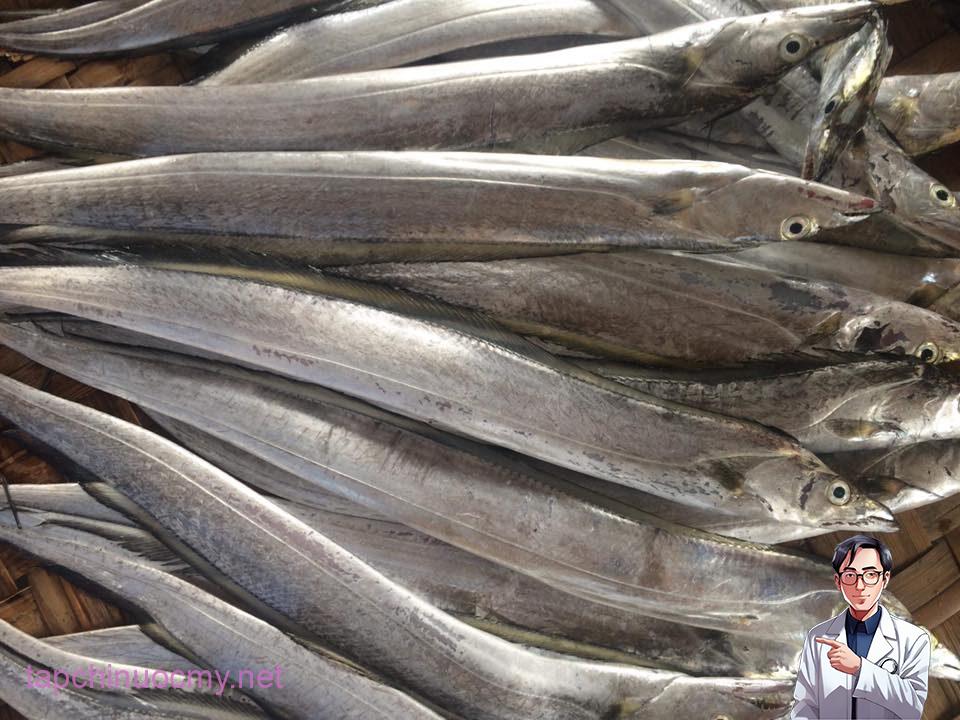Đặc điểm cá hố