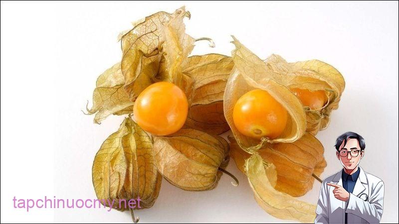 Trong quả tầm bóp chứa nhiều thành phần có lợi cho sức khoẻ