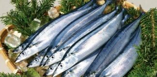 Loại cá là “vua omega-3”, cá hồi chỉ đứng hạng 2: Bán đầy chợ Việt giá cực rẻ