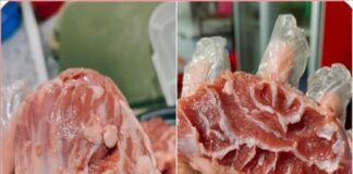 “Kho báu” giấu trong con lợn: Mỗi con chỉ có vài lạng, muốn mua phải dậy từ 5 giờ sáng