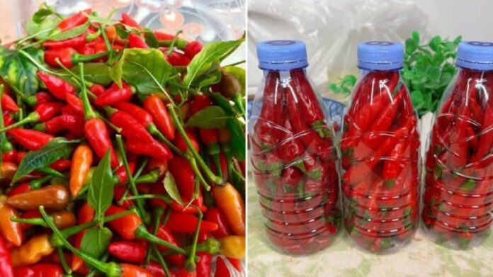 bao-quan-ot-phunutoday-02-2328