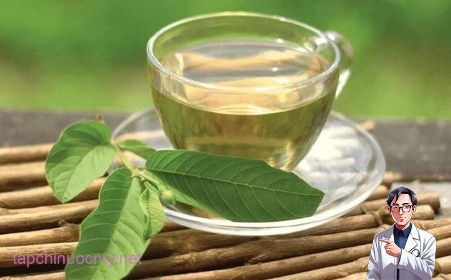 Uống nước lá ổi cực hại với 6 nhóm người này