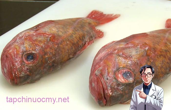 Cá chết lâu bụng phình to chứa nhiều độc tố nên tránh xa
