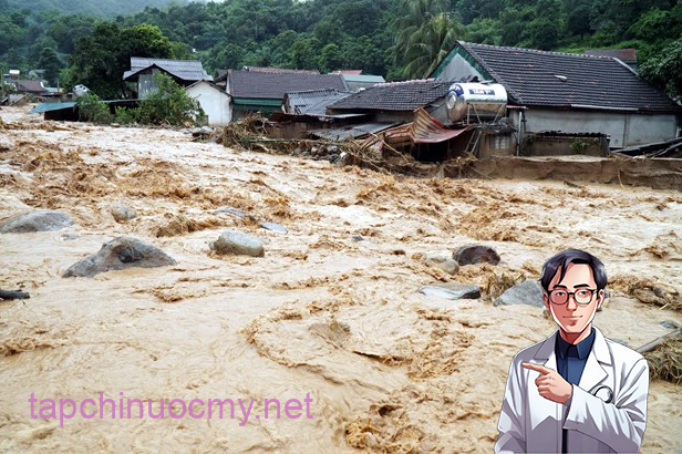 Bão số 11: Triển khai đồng bộ các biện pháp ứng phó hình thái thiên tai kép