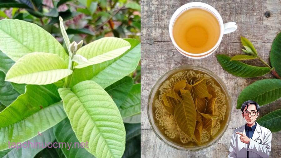 nuoc-la-oi-2