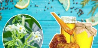Hoa đu đủ đực ngâm cùng thứ này ‘quý như vàng’: Lợi ích tuyệt vời nhà nào cũng cần