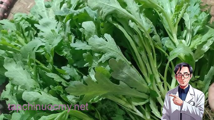 Rau cải cúc