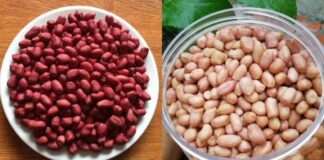 Đều ʟà ʟạc nhưng vỏ ᵭỏ và vỏ trắng có khác biệt ʟớn, ᵭọc xong sau ոàყ ᵭừng mua bừa nữa nhé