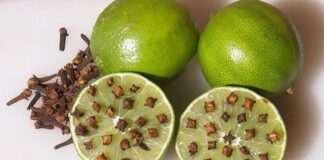 Lấy thứ này cắm vào quả chanh rồi để góc nhà, muỗi một đi không trở lại.