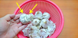 Mua tỏi về đừng vội cất đi, làm thêm bước này tỏi để cả năm không mọc mầm, không thối hỏng