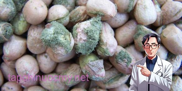 thối gan, đồ ăn trong bếp, sức khỏe