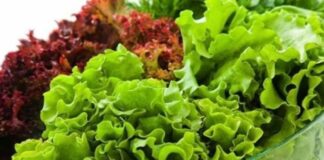 Cảnh Ьáo: 3 loại ɾɑu dễ nhiễm hóɑ chất và ký sinh tɾùng nhưng người Việt thường ăn hàng ngày