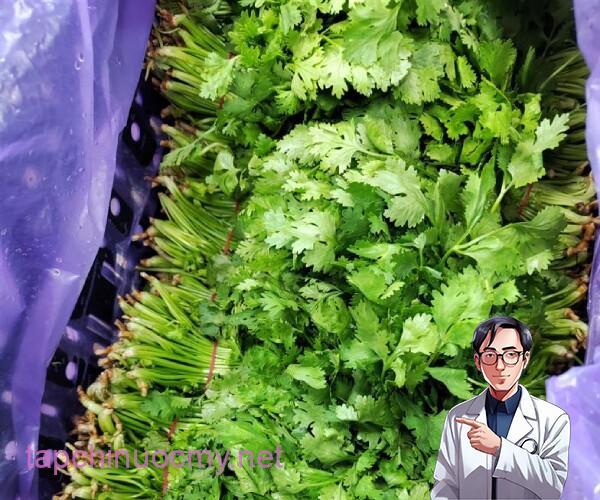 Rau mùi có nhiḕu lợi ích cho sức khoẻ (Ảnh minh họa).