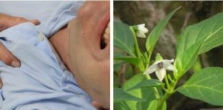 Hàng nghìn người bị tai biến rất nặng đã được cứu sống trong vòng 1 phút nhờ bài thuốc đơn giản này