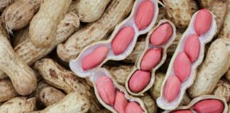 Điều gì xảy ra với cơ thể nếu thường xuyên ăn lạc (đậu phộng)?