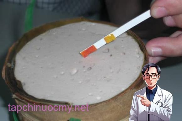 giò chả, giò chả có hàn the, hàn the, kiến thức 