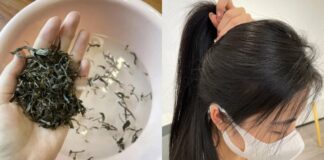 Cách gội đầu bằng nước trà xanh giúp tóc đen bóng, đua nhau mọc