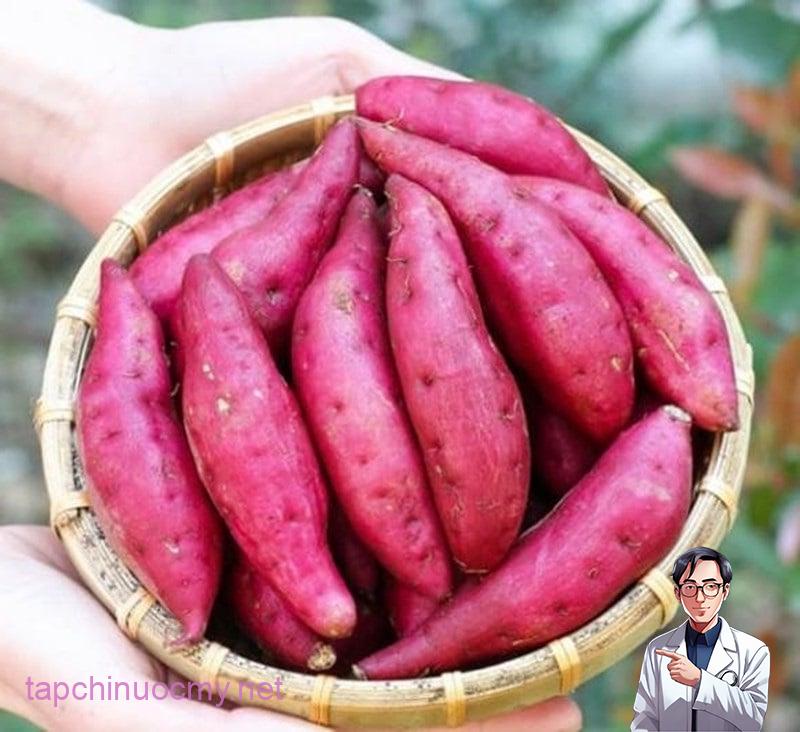 khoai-lang-01