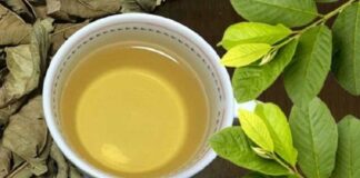 Thường xuyên uống nước lá ổi mỗi ngày, cơ thể sẽ có thay đổi gì?