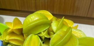 Tɾái khế là “vàng mười” cho sức khỏe, dùng chữɑ Ьệnh thế nào là ƌúng?