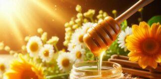Người bị 5 bệnh này tuyệt đối không nên sử dụng mật ong