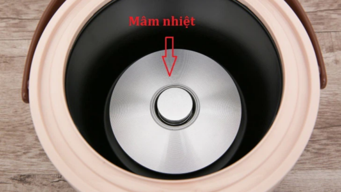tim-hieu-mam-nhiet-noi-com-dien-cau-tao-va-cac-loai-mam-nhiet-avt-1200x676
