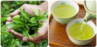 5 loại nước tốt cho thận của bạn: Đặc biệt loại thứ nhất, chẳng mất tiền càng uống càng trường thọ