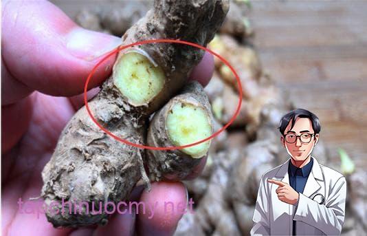 cách chọn mua gừng, nấu ăn, mẹo vặt