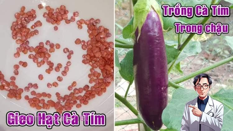 ca-tim11