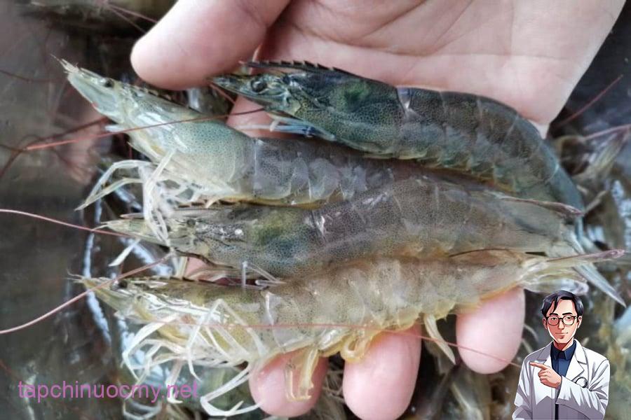 Đi chợ thấy loại tôm này, rẻ đến mấy cũng đừng bỏ tiền mua kẻo thêm bệnh vào người