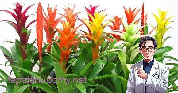 Phong lộc hoa mang vẻ đẹp rực rỡ, trang nghiêm và đầy khí thế.