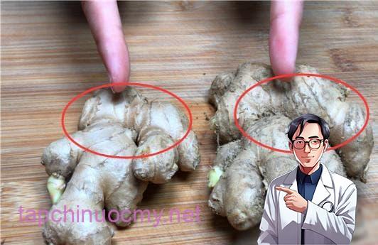 cách chọn mua gừng, nấu ăn, mẹo vặt