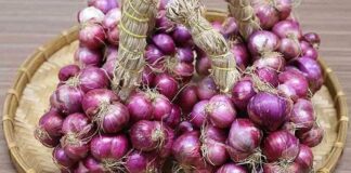 Cách bảo quản hành, tỏi cả năm không bị mốc, không bị teo thối hay mọc mầm