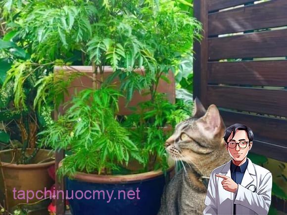 Trong phong thủy, việc lựa chọn cây trồng phù hợp với bản mệnh theo thuyết ngũ hành được xem là yếu tố quan trọng giúp kích hoạt vượng khí, mang lại may mắn và sự hanh thông cho gia chủ.