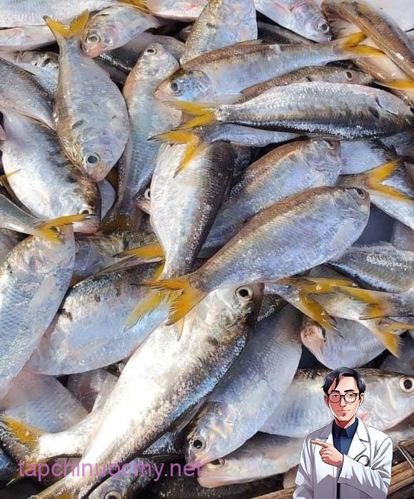Theo bảng giá trị dinh dưỡng, 100g cá mòi ăn cả xương có thể cung cấp khoảng 380–500 mg canxi.