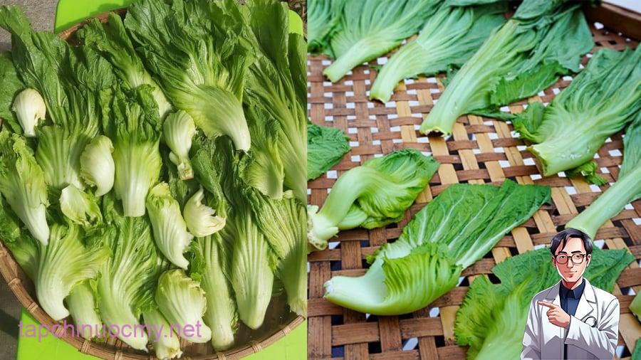 Dưa cải mua về cần được phơi héo để khi muối, dưa sẽ giòn hơn.