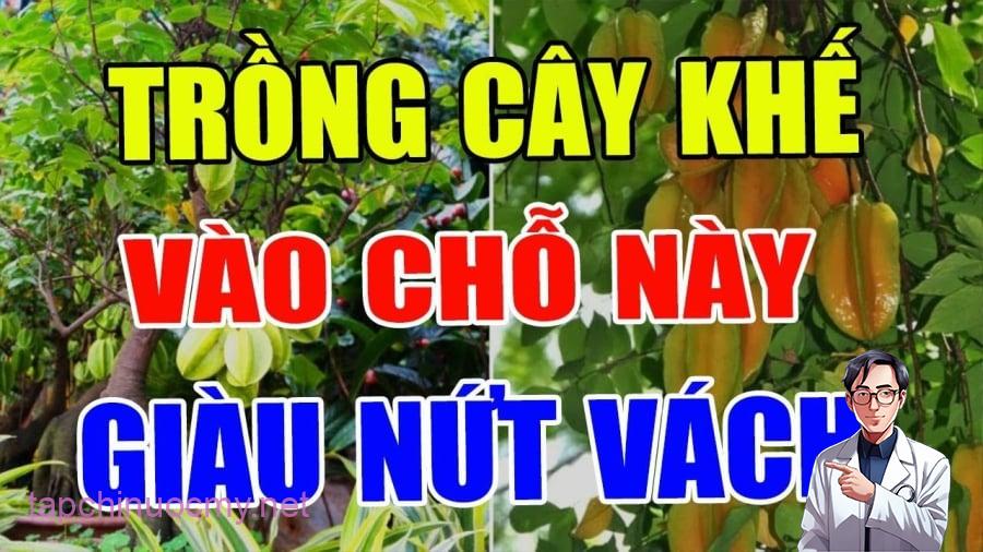 trong khe