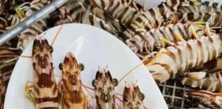 Tôm sông và tôm biển khác nhau thế nào? Loại nào nhiều canxi hơn?