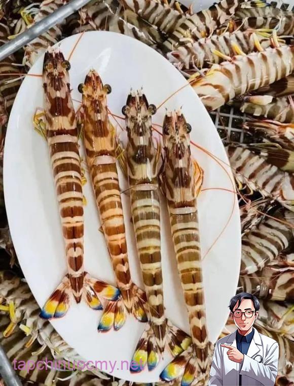 Tôm sông sinh sống trong môi trường nước ngọt như sông, nếp hoặc ao hồ, nơi nguồn nước và thức ăn có thể chịu tác động từ ô nhiễm.