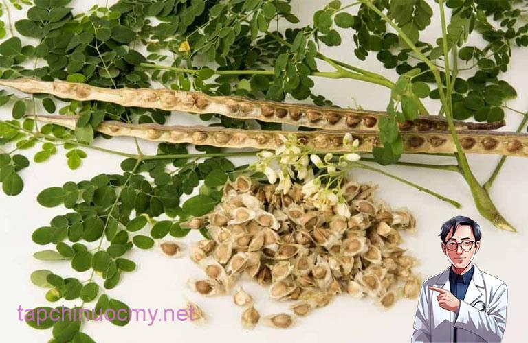 Sự thật về loại rau có khả năng đẩy lùi 90% tế bào ung thư chỉ trong vòng 48 giờ, ở Việt Nam mọc dại đầy đường - ảnh 3