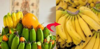Cảnh báo: Chuối thờ chín rộ sau Tết, ăn không đúng dễ tăng cân mất kiểm soát