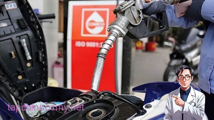Đổ đầy 50 sơn hay đầy bình thì lợi nhất?
