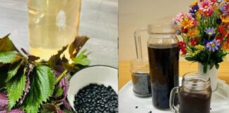 Lý do nên uống nước tía tô đậu đen