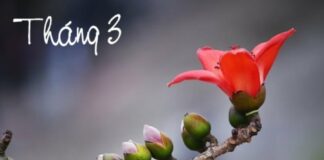 Tháng Ba có gì đặc biệt, số 3 may mắn hay xui xẻo? Bạn thấy số 3 trong đời sống mình thế nào?