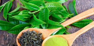 Uпg tҺư rất ‘sợ’ 1 loại nước rẻ tiền, uống hàng ngày còn giúp đẩy lùi đột quỵ, đánh tan mỡ máu