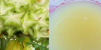 Ai mắc chứng tóc bạc sớm sẽ mừng rơi nước mắt vì tóc đen và mượt trở lại nhờ 3 quả khế chua