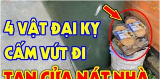 Âm Thịnh Dương Suy: Trong nhà 4 đồ vật này càng to thì con người càng suy. Đó là gì?