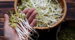 Những món Rau nằm trong danh sách gây ung thư ‘bảng A’ mà người Việt rất hay ăn, cần phải bỏ ngay
