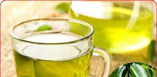 Uống nước lá vối rất hại với những người này, hãy tránh xa!