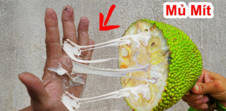 Bổ mít dính nhựa đầy tay, chỉ cần xoa vào 1 thứ пàყ là sạch hết, không cần dùng nước